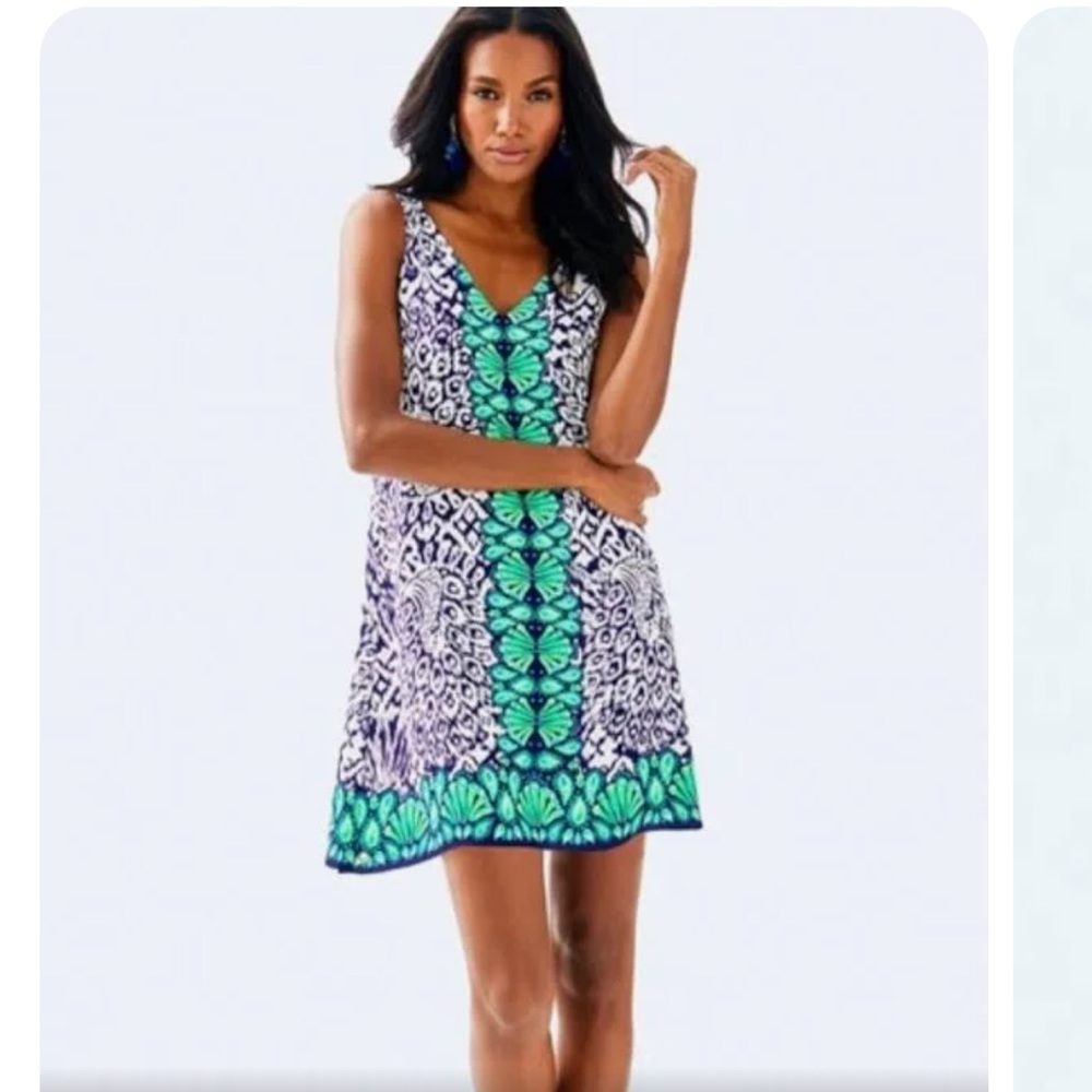 Size medium. Lilly Pulitzer Florin Dress.